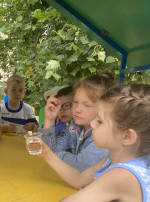 Игры с песком и водой Игры с песком и водой.